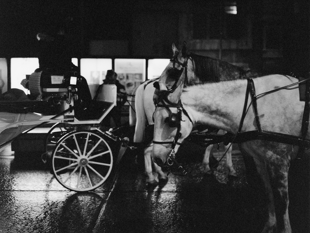 Medium_Format_Street_photography_vienna_Kodak-trix_6400_markus_hofstaetter_mhaustria.com_17