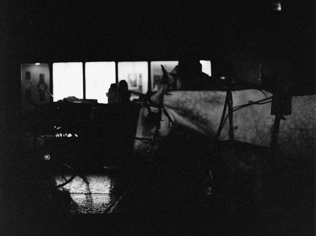Medium_Format_Street_photography_vienna_Kodak-trix_6400_markus_hofstaetter_mhaustria.com_18