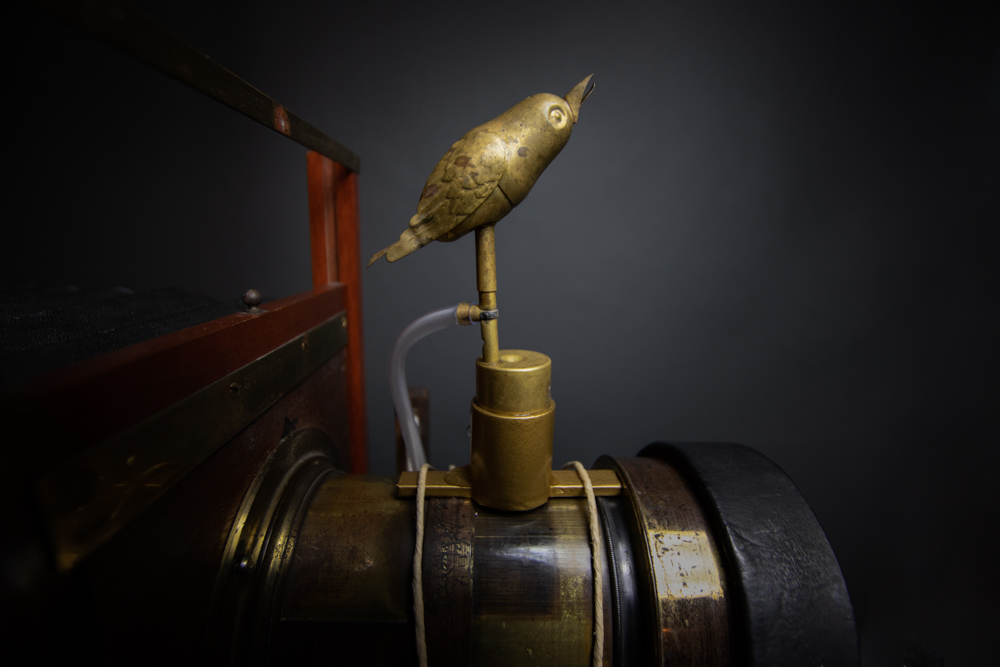 MArkus_Hofstaetter_watch_the_birdie_wet_plate_nassplatte_mhaustria.com3_