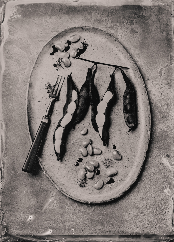 green_beans_cream_wet_plate_food_photography_markus_hofstaetter_hans_gerlach_mhaustria.com_
