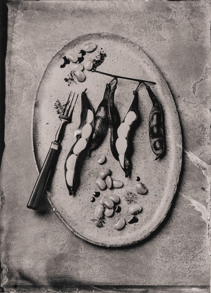 green_beans_cream_wet_plate_food_photography_markus_hofstaetter_hans_gerlach_mhaustria.com_2