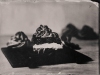 cream_puffs_wet_plate_food_photography_markus_hofstaetter_hans_gerlach_mhaustria.com_