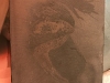 wet_plate_food_photography_markus_hofstaetter_hans_gerlach_mhaustria.com_13