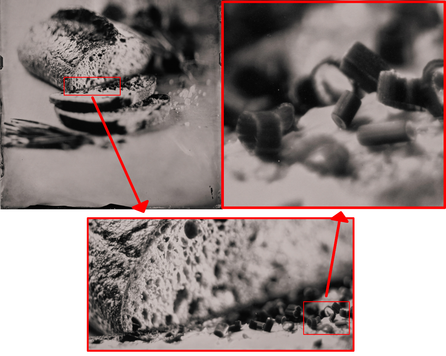 wet_plate_food_photography_markus_hofstaetter_hans_gerlach_mhaustria.com_crop_bread