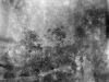 Lost_in_Time_90_year_Old_Film_Unveiled_mhaustria_markus_hofstaetter_23