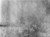 Lost_in_Time_90_year_Old_Film_Unveiled_mhaustria_markus_hofstaetter_24