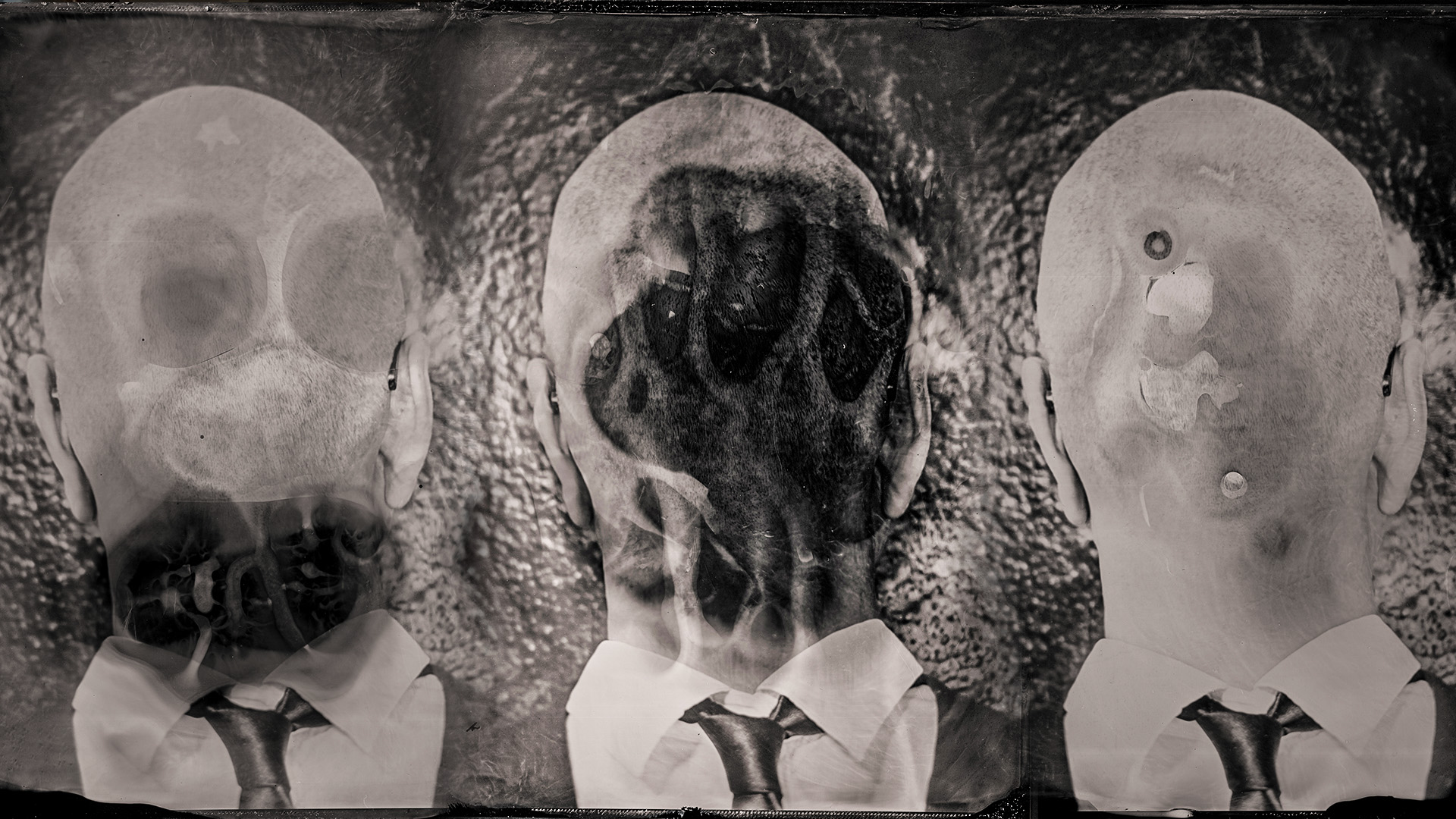 Boris Eldagsen – Analog AI – Inspired Series